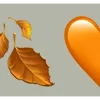 🍂