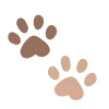 🐾