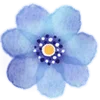🌼