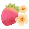 🍓