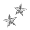 🌟