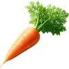 🥕