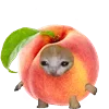 🍑