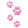 🐾