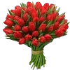 🌷