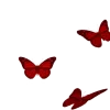 🦋