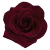 🌹