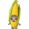 🌽