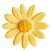 🌼
