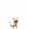 😱