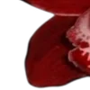 💋