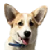 🐶