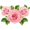 🌸