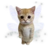 🐈‍⬛