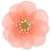 🌼