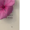 🤩