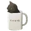 🐈‍⬛