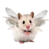 🐁