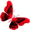 🦋