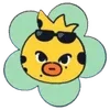🐥