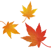 🍂