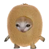 🥝