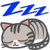😴