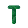 💚