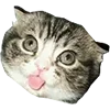 😛