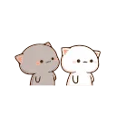 ✨