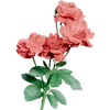 💐