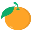 🍊