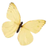 🦋