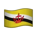 🇧🇳
