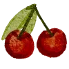 🍒