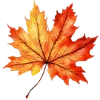 🍁
