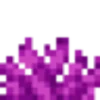 🟣