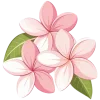 🌸