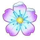 🌸