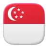🇸🇬