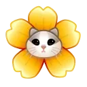🌸