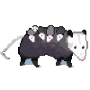 🐁