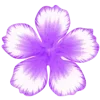 🌸