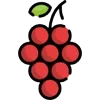 🍇