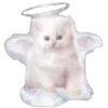 😇
