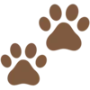 🐾