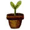 🌱