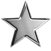 🌟