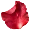 🌹