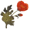 🌹